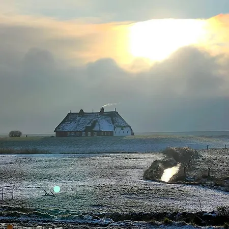 Hallig Hues Langeness
