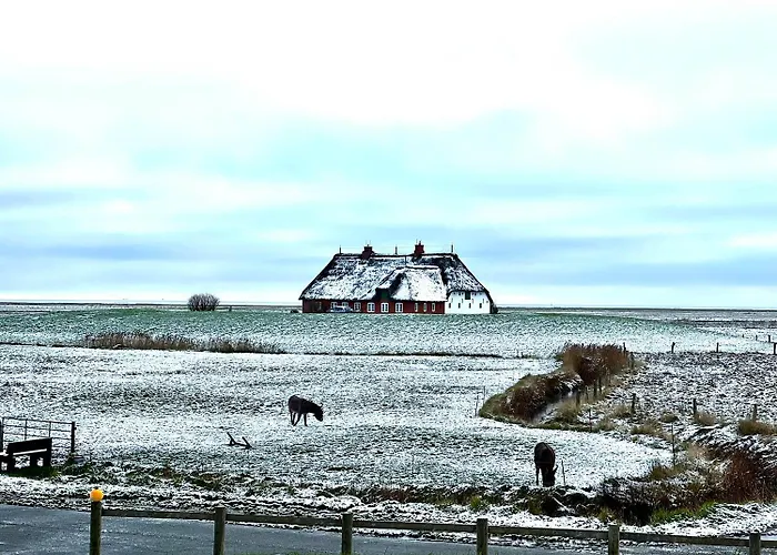 דירה Hallig Hues Langeneß